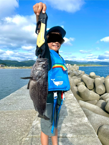 クロソイの釣果