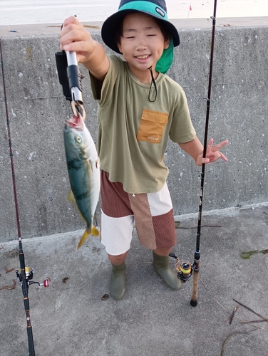 イナダの釣果