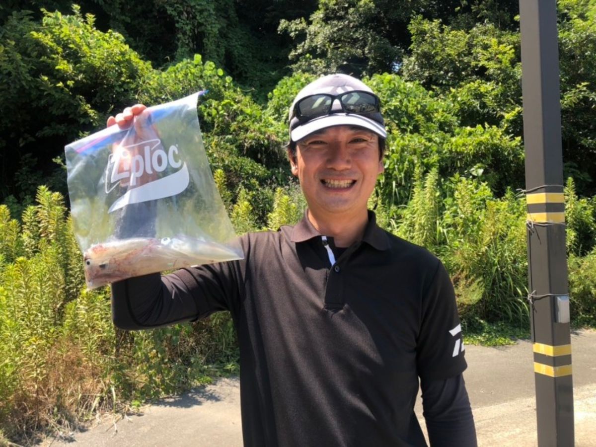 イカ時々魚さんの釣果 3枚目の画像