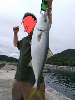 イナダの釣果