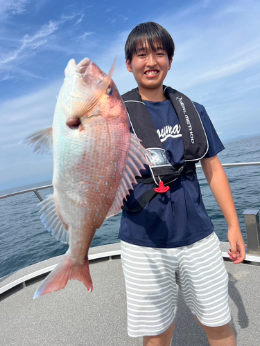 マダイの釣果