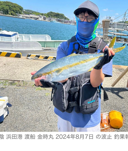 ヒラマサの釣果