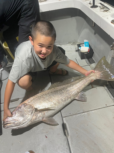 ニベの釣果