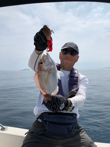 レンコダイの釣果