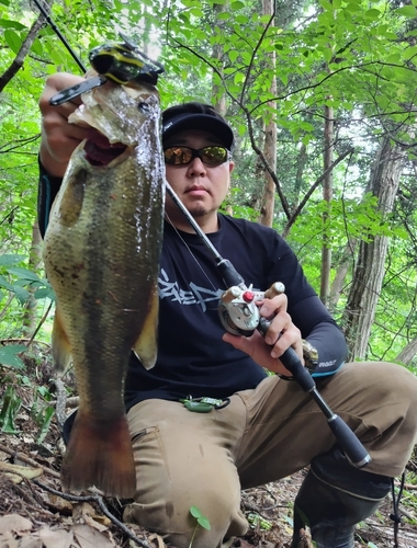 ブラックバスの釣果