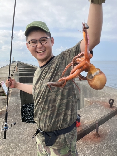 タコの釣果