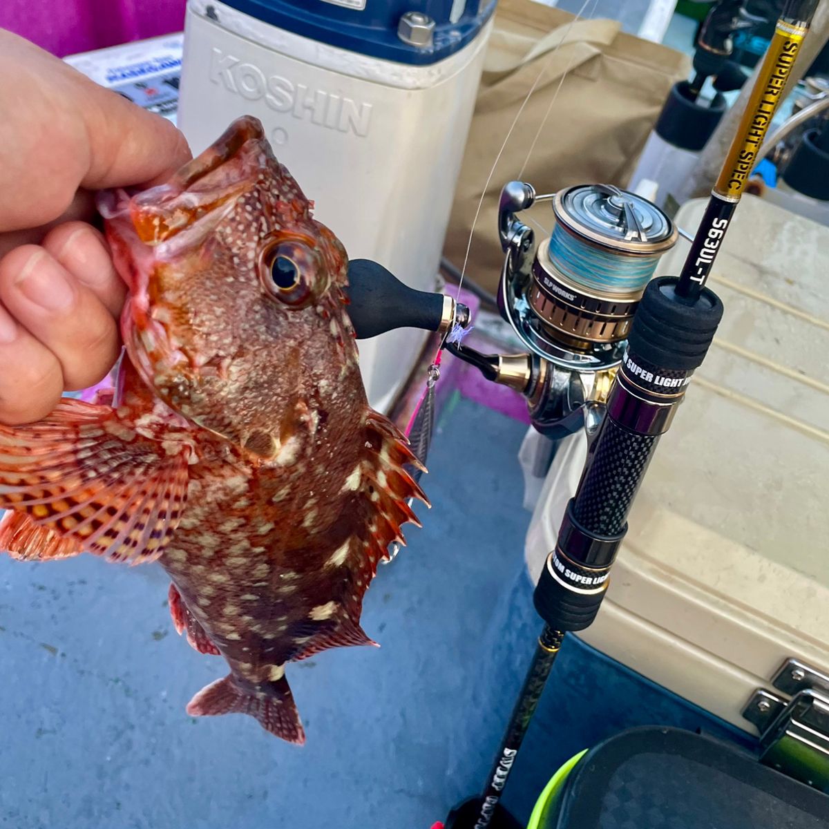 アッシー（H.ashihara）さんの釣果 2枚目の画像