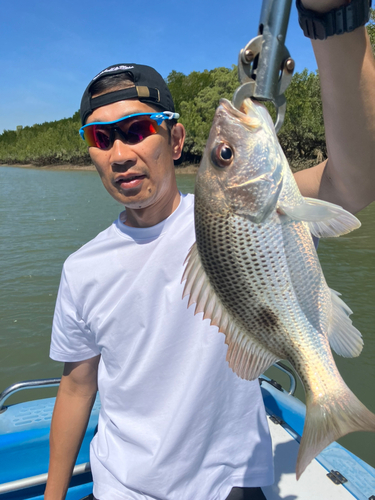 タイの釣果