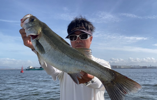 ハネ（マルスズキ）の釣果