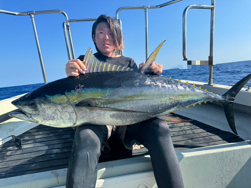 キハダマグロの釣果