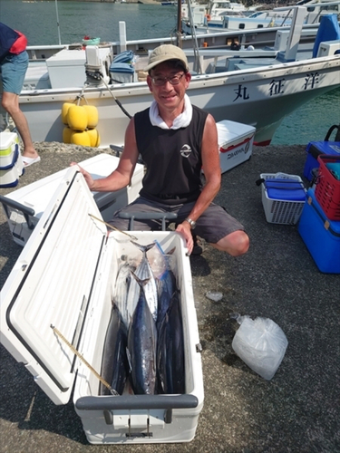 カツオの釣果