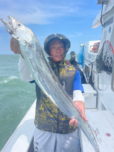 タチウオの釣果