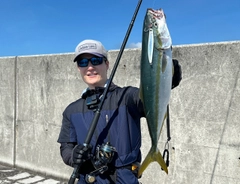 ハマチの釣果