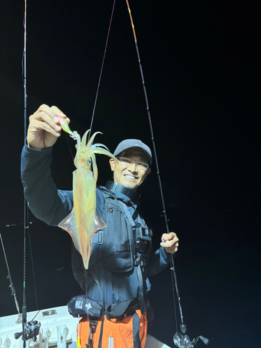 ケンサキイカの釣果