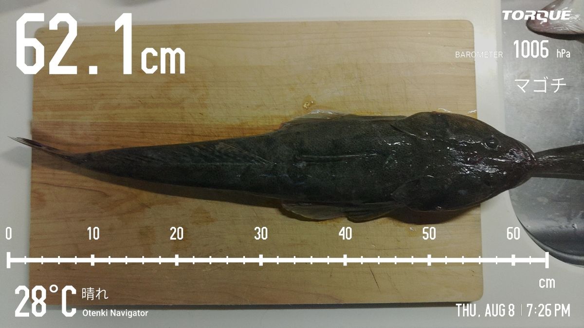 でっけさんの釣果 2枚目の画像