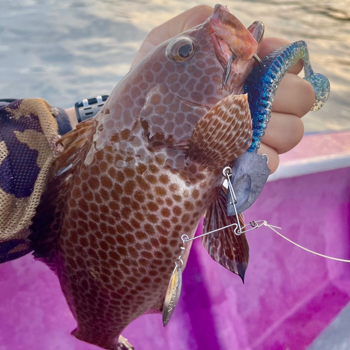 アッシー（H.ashihara）さんの釣果 2枚目の画像