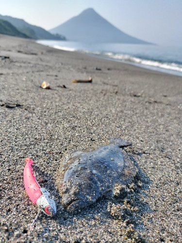 ソゲの釣果