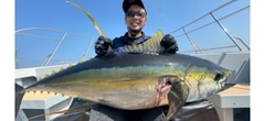 キハダマグロの釣果