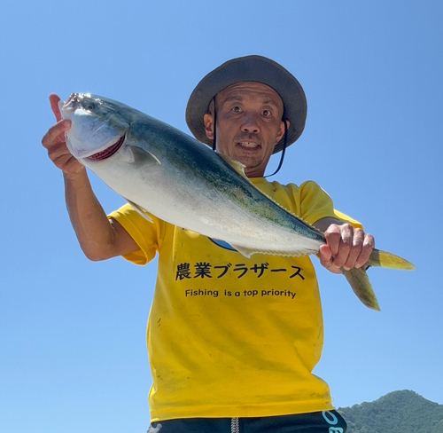 メジロの釣果