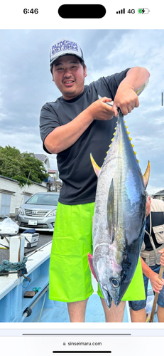 キハダマグロの釣果