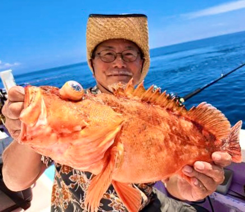 ウッカリカサゴの釣果