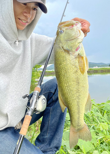 ブラックバスの釣果