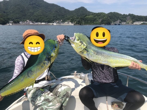 シイラの釣果