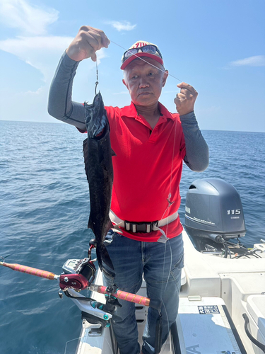 クロシビカマスの釣果