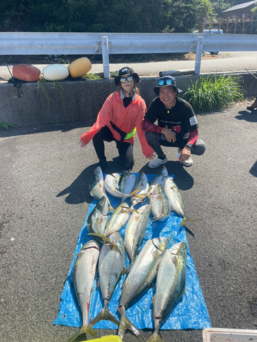 ブリの釣果