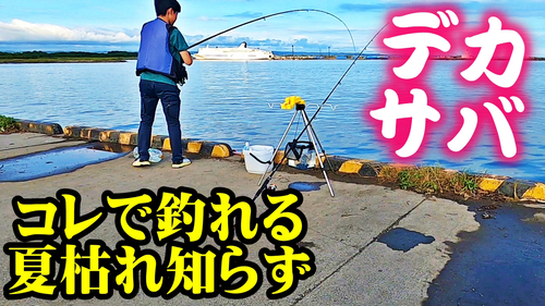 サバの釣果