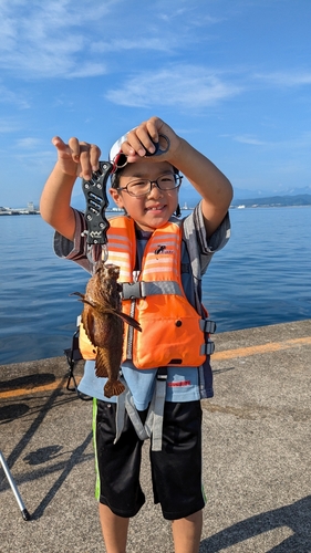 オニオコゼの釣果