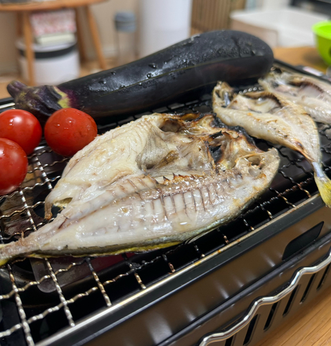 シマアジの釣果