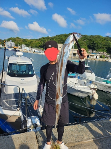 タチウオの釣果