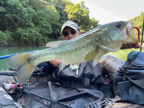 ブラックバスの釣果