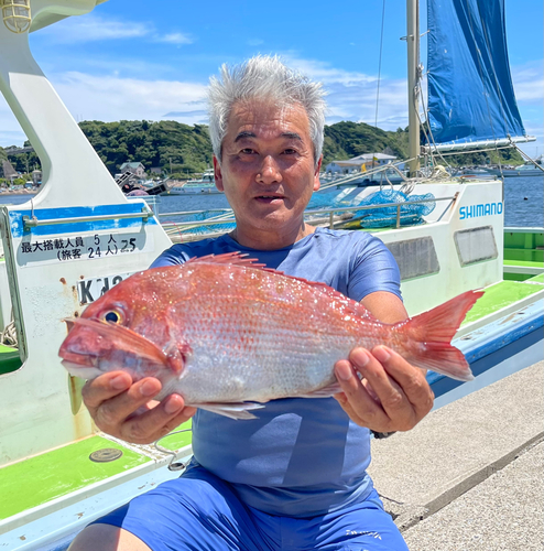 マダイの釣果