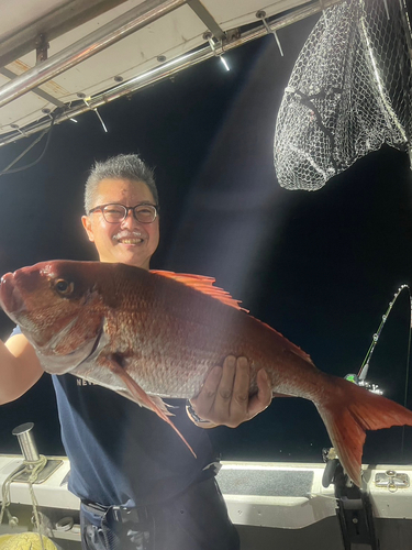 マダイの釣果