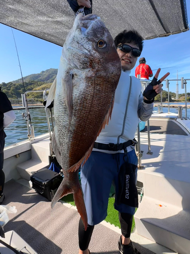 タイの釣果