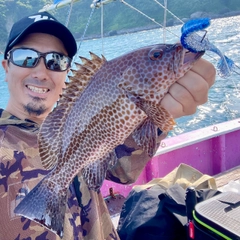 オオモンハタの釣果