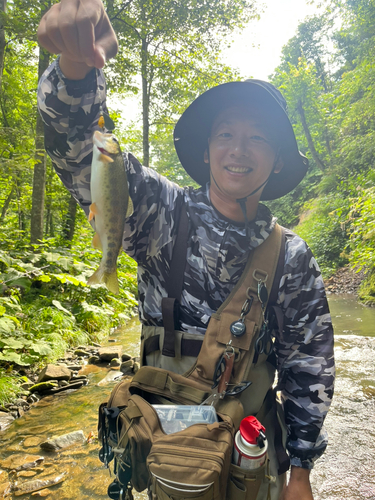 ニジマスの釣果