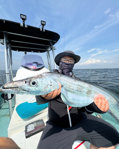 タチウオの釣果