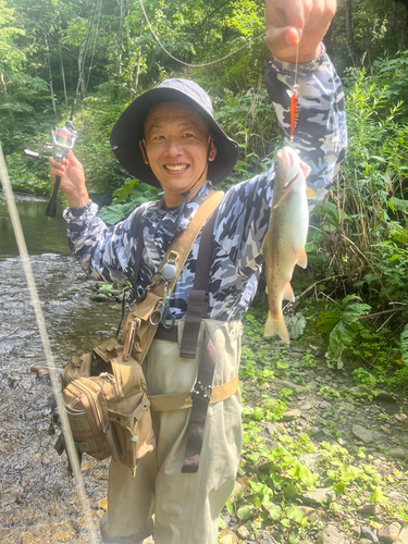 ニジマスの釣果