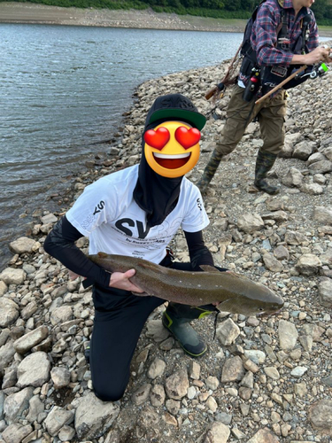 イトウの釣果