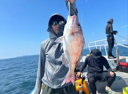 マダイの釣果