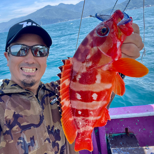 アカハタの釣果