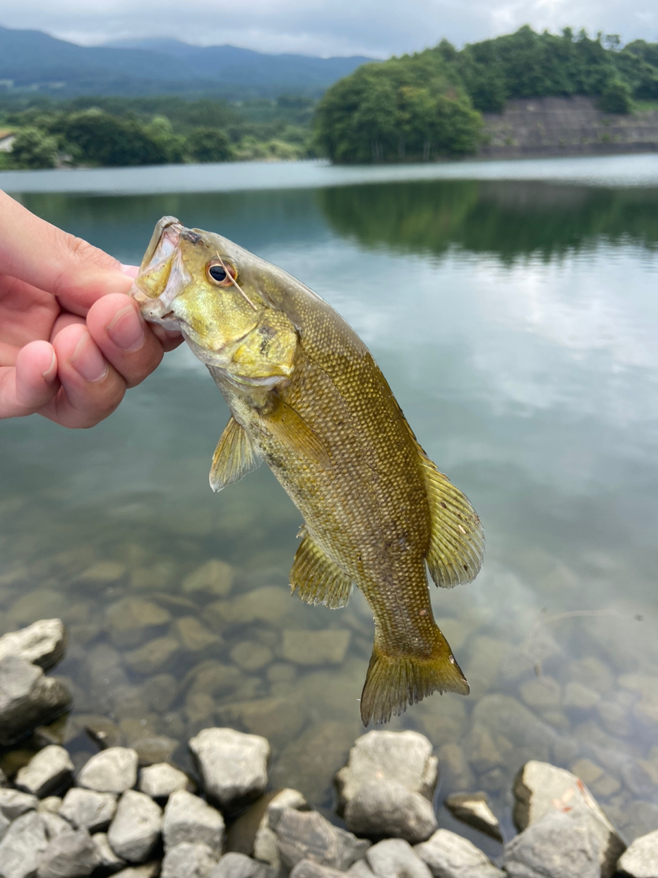 スモールマウスバス