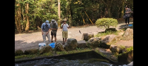 ヤマメの釣果