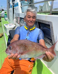 マダイの釣果