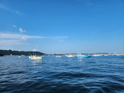 タチウオの釣果