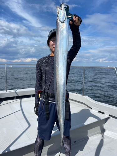 タチウオの釣果