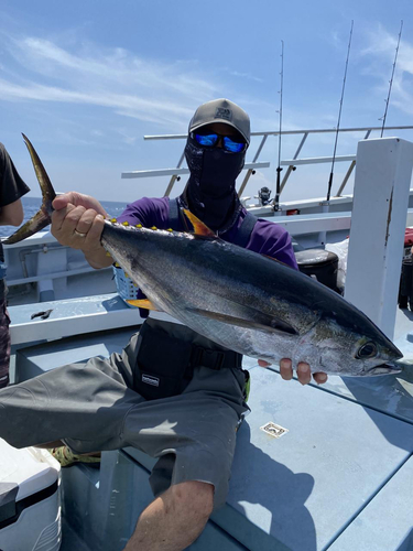 キハダマグロの釣果